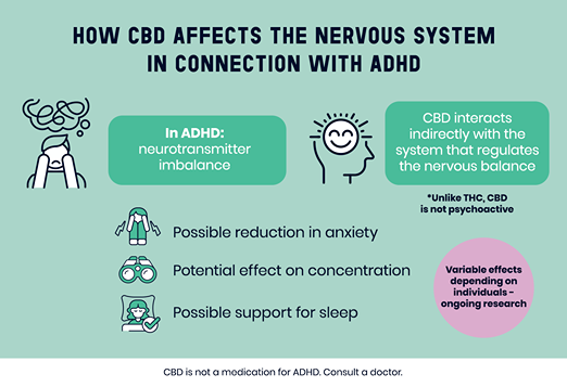 Illustration of CBD’s action on the brain and potential adhd symptoms