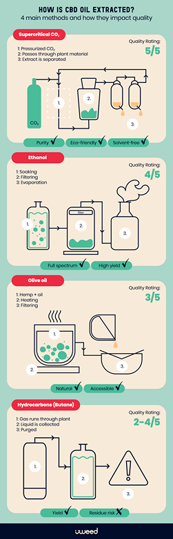 Visual comparison of CBD extraction methods: CO2, ethanol, olive oil, and hydrocarbons