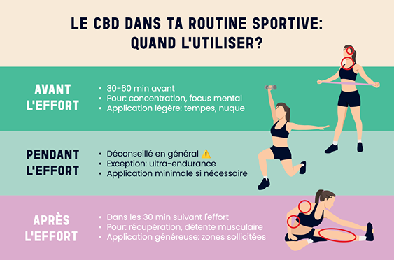 Infographie : utilisation du CBD avant, pendant et après le sport, avec timing et zones à cibler