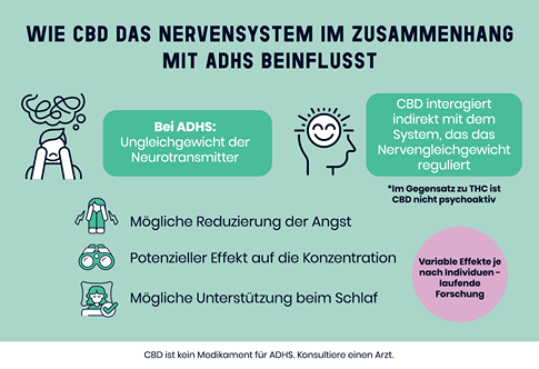 Illustration der CBD-Wirkung im Gehirn bei ADHS-Symptomen