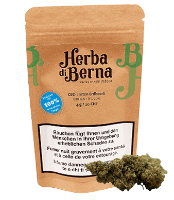 Herba di Berna Strawberry CBD Flower Indoor 1