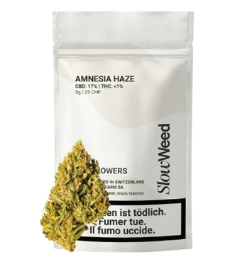 Slow Weed Amnesia Haze CBD Flower Greenhouse 1