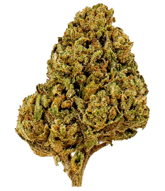 slow weed arancia tonic outdoor uweed shop 2
