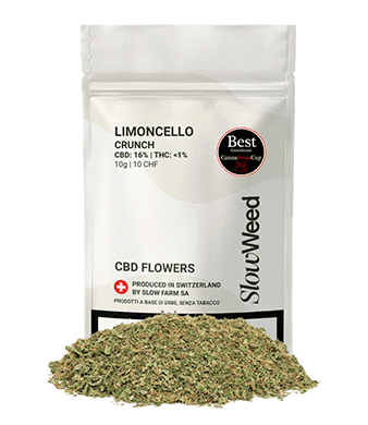 Slow Weed Limoncello Crunch CBD Trim Outdoor 1