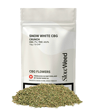 Slow Weed Snow White Crunch CBG Trim Outdoor 1