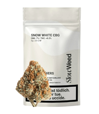 Slow Weed Snow White CBG Flower Outdoor 1