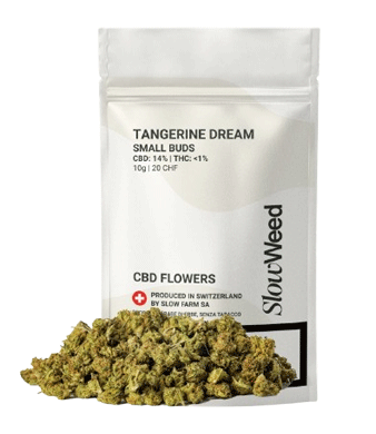 Slow Weed Tangerine Dream Minibuds Small CBD Buds Outdoor 1