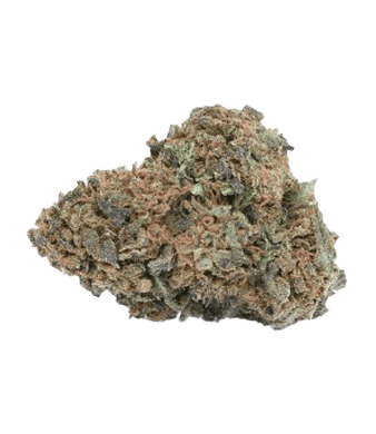 B-Chill Black Skunk CBD Flower Greenhouse 2