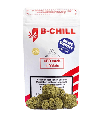 B-Chill Blueberry CBD Flower Greenhouse 1