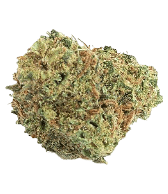 B-Chill Bubble Gum Small CBD Buds Indoor 2