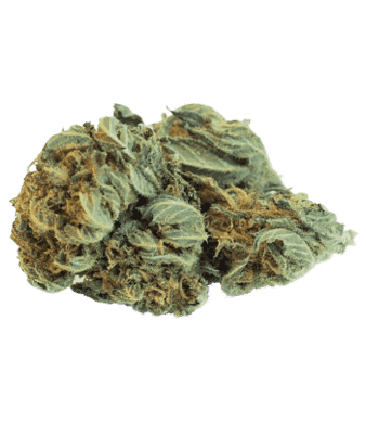 B-Chill Ragnar CBD Flower Outdoor 2