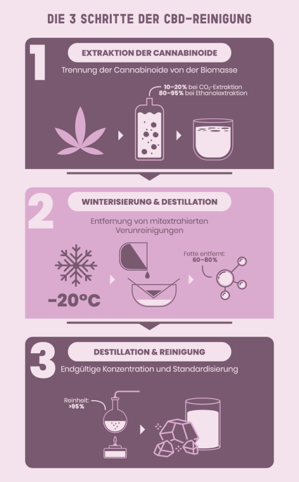 Infografik zeigt 3 Schritte der CBD-Purifizierung: Extraktion, Reinigung, pharmazeutische Endreinigung