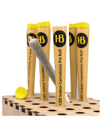 Herba di Berna Cannatonic Trim Pre-Rolls CBD Joints Indoor 1