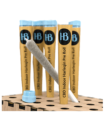 Herba di Berna Harlequin Trim Pre-Rolls CBD Joints Indoor 1