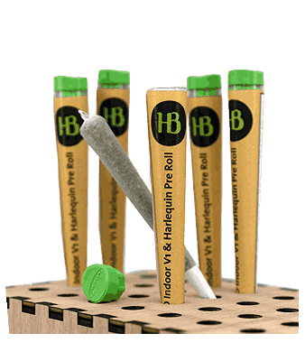 Herba di Berna V1 + Harlequin Trim Pre-Rolls CBD Joints Indoor 1