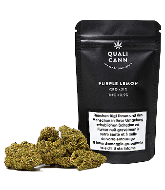 Qualicann Purple Lemon CBD Flower Indoor 1