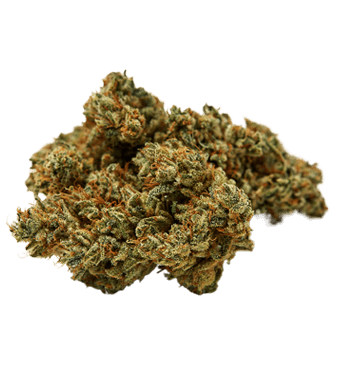 Qualicann Sweet Star CBD Flower Indoor 2