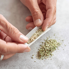 Step-by-step guide showing how to roll a joint with CBD flowers and rolling materials