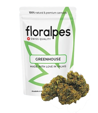 Floralpes Pineapple Express CBD Flower Greenhouse 1