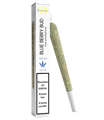 genuine swiss blue berry bud pre rolls cbd joint indoor uweed shop 1