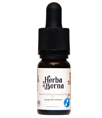 Herba di Berna CBD Drops 3.5% for Dogs with Coconut Oil and Beef 1