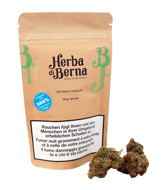 Herba di Berna Harlequin CBD Flower Indoor 1