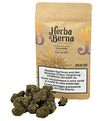 Herba di Berna Lemon Muffin CBD Flower Indoor 1