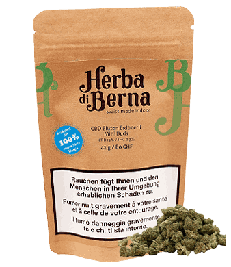 Herba di Berna Strawberry Minibuds Small CBD Buds Indoor 1