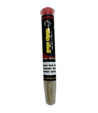 Paradise Weeds Lemon Cherry Pre-Rolls CBD Joints Indoor 3