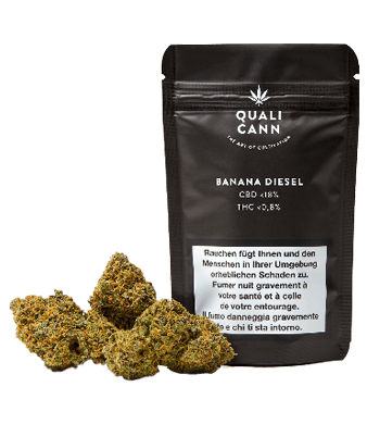 Qualicann Banana Diesel CBD Flower Indoor 1