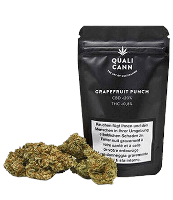 Qualicann Grapefruit Punch CBD Flower Indoor 1