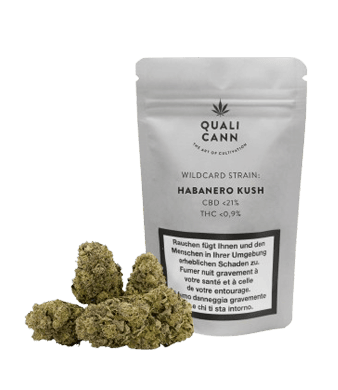Qualicann Habanero Kush ⦁ CBD Flower Indoor 1