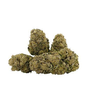 Qualicann Habanero Kush ⦁ CBD Flower Indoor 2