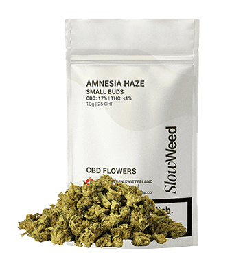 Slow Weed Amnesia Haze Minibuds Small CBD Buds Greenhouse 1