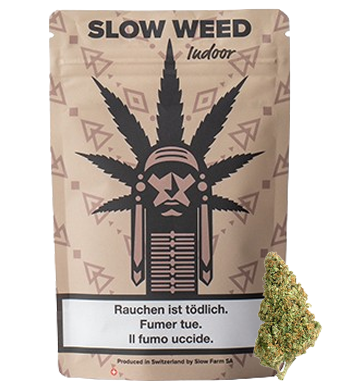 slow weed fragolina indoor uweed shop 1