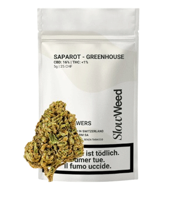 Slow Weed Saparot CBD Flower Greenhouse 1