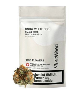 Slow Weed Snow White Minibuds Small CBG Buds Outdoor 1